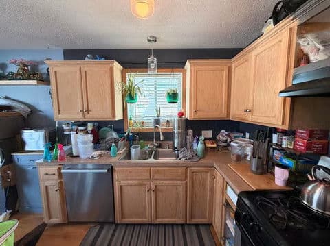 Cluttered kitchen with wooden cabinets, sink, and appliances, showcasing domestic life and organization.
